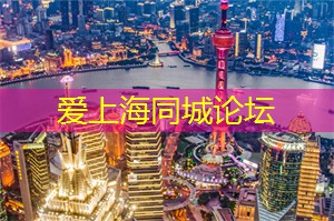从高处俯瞰上海的夜色奇观