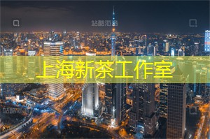 体验上海夜晚的 __ 乐趣